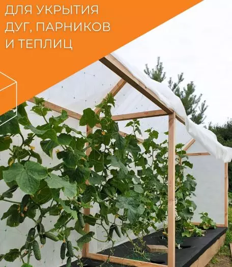 Укрывной материал 60 УФ Агротекс, 3,2*200 п.м. белый, в рулоне