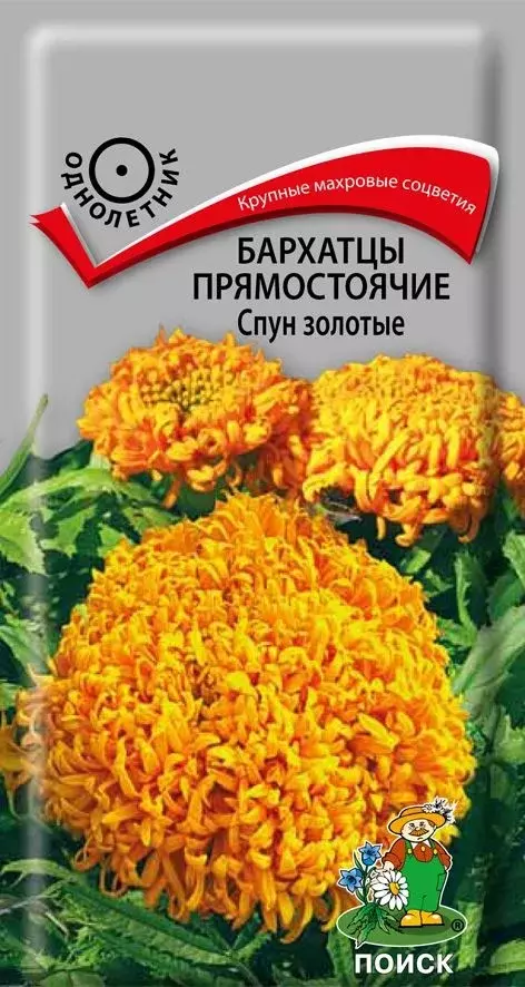 Семена цветов Бархатцы прямостоячие Спун Золотые, ПОИСК 0,1 г ц/п