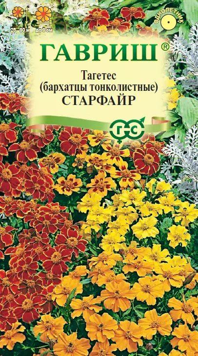 Семена цветов Бархатцы Старфайер тонкоЛистные 0.1 гр(Гавриш) цв