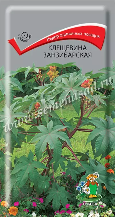 Семена цветов Клещевина Занзибарская, ПОИСК 3 г ц/п
