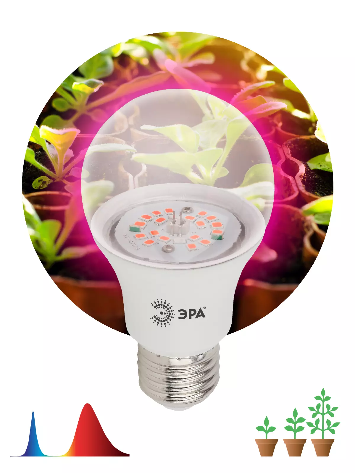 Лампа светодиодная для растений ЭРА Е27 12Вт красно-синего спектра 12W-RB-E27-K