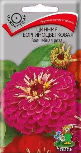 Семена цветов Цинния Волшебная Роза (Поиск) цв