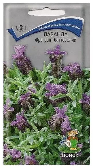 Семена цветов Лаванда декорат Фрагрант баттерфляй, ПОИСК 20 шт ц/п