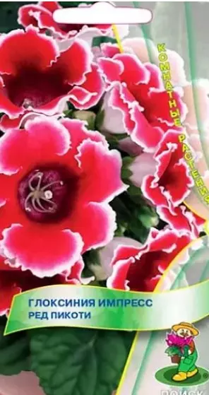 Семена цветов Глоксиния Импресс Ред, ПОИСК 5 шт ц/п