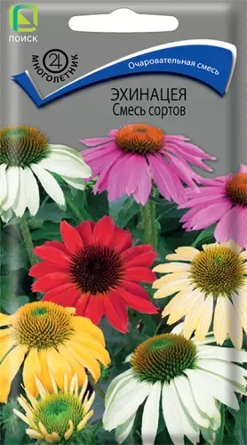 Семена цветов Эхинацея Смесь сортов ПОИСК Ц/П 0.1 г