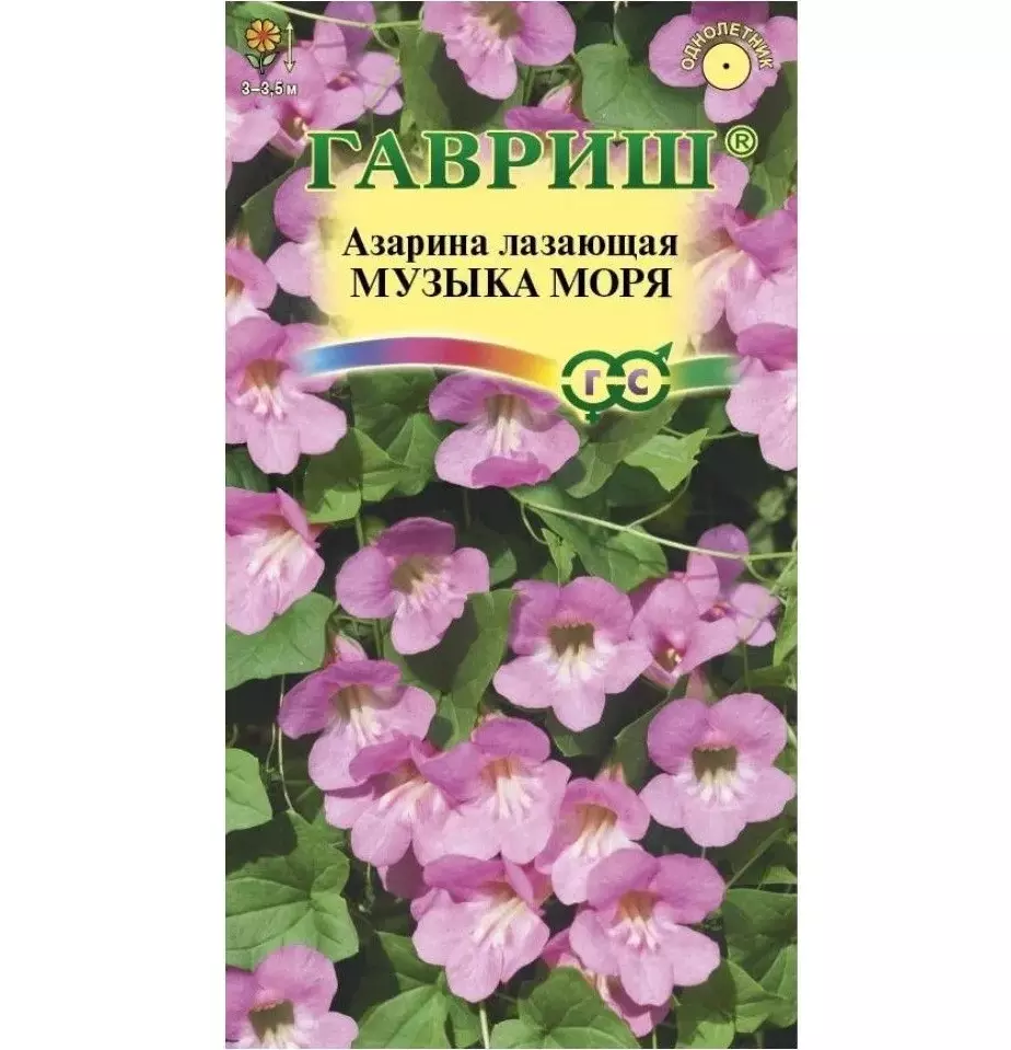 Семена цветов Азарина Музыка моря ГАВРИШ 0,01 г ц/п