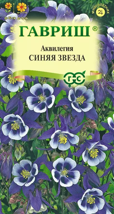 Семена цветов Аквилегия Синяя Звезда 0.05 гр (Гавриш) цв