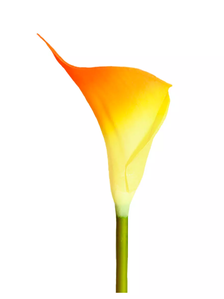 Цветок искусственный Оранжевая Калла 50х8,5х8,5 см, 88280