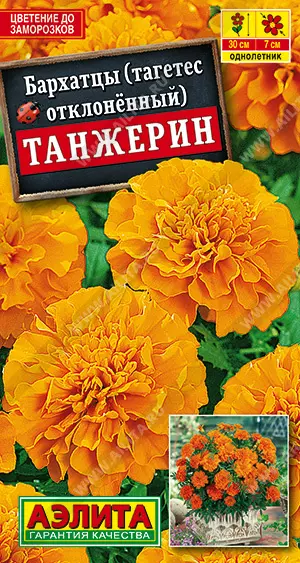 Семена цветов Бархатцы (тагетес отклоненный) Танжерин. АЭЛИТА Ц/П 0,3 г