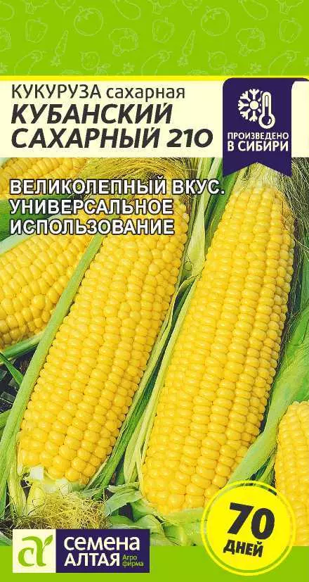 Семена Кукуруза Кубанский сахарный 210. Семена Алтая Ц/П 5 г