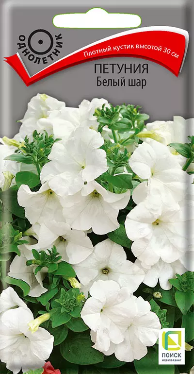 Семена цветов Петуния белый шар 0,1 гр (Поиск) цв