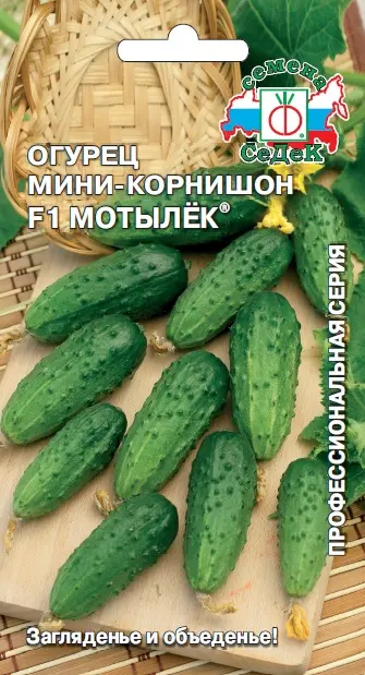 Семена Огурец мини-корнишон Мотылек F1. СеДеК Ц/П