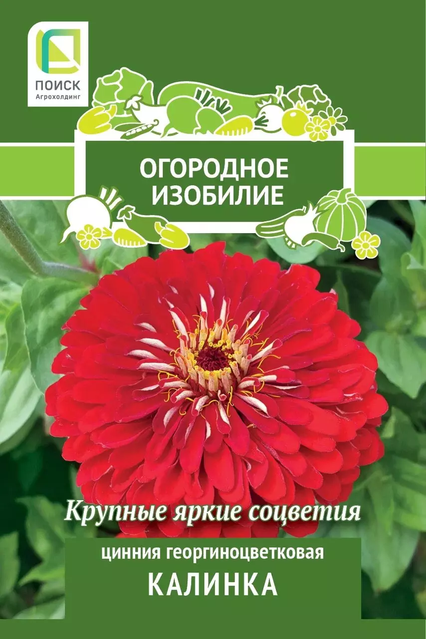 Семена цветов Цинния георгиноцветковая Калинка (Огородное изобилие) (1) 0,4гр ПОИСК