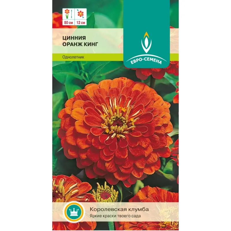 Семена цветов Цинния Оранж кинг. ЕВРО-СЕМЕНА Ц/П 0.5 г