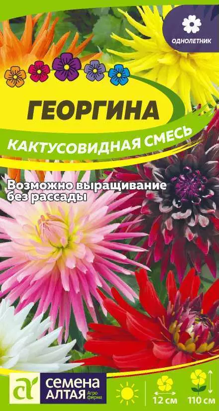 Семена цветов Георгина Кактусовидная, смесь. Семена Алтая Ц/П 0,1 г
