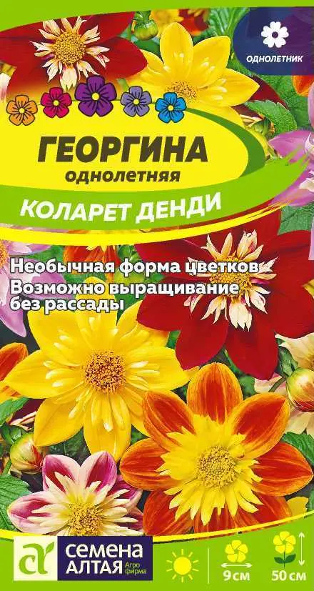 Семена цветов Георгина Коларет Денди. Семена Алтая Ц/П 0,3 г