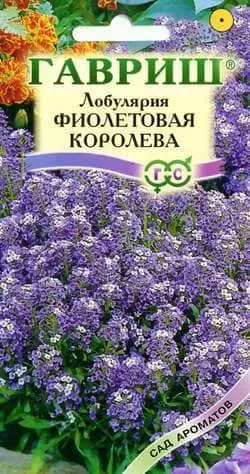 Семена цветов Алиссум (Лобулярия)Фиолетовая королева ф.п.0,05 г Гавриш