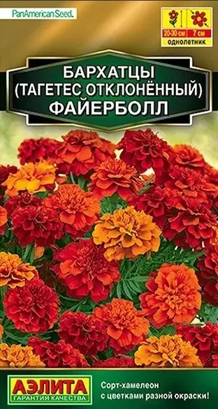 Семена цветов Бархатцы Файерболл 5шт, сорт-хамелеон АЭЛИТА