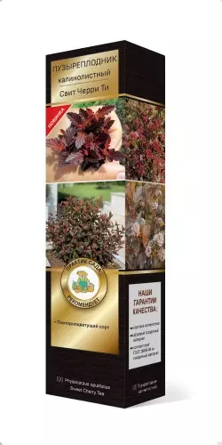 Саженец Пузыреплодник калинолистный Свит Черри Ти (в тубе), Поиск