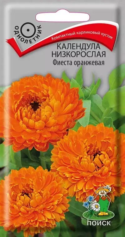 Семена цветов Календула низкорослая Фиеста оранжевая (ЦВ ) (1) 0,3гр