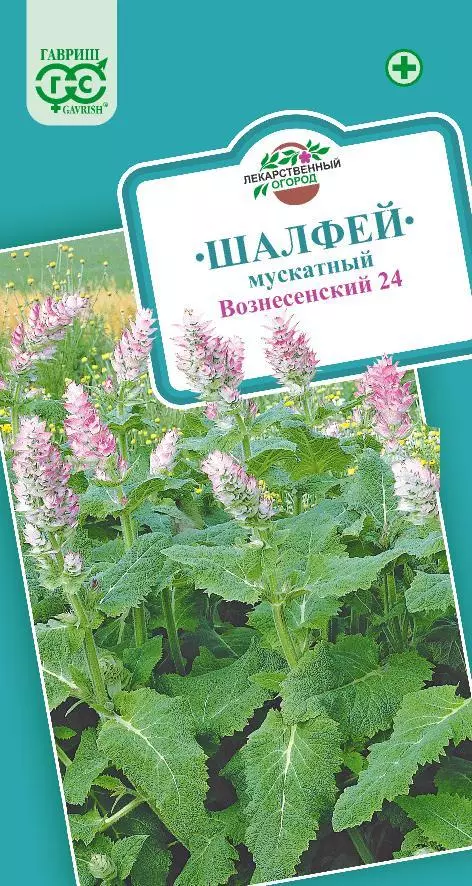 Семена Шалфей мускатный Вознесенский ГАВРИШ 0,3 г ц/п