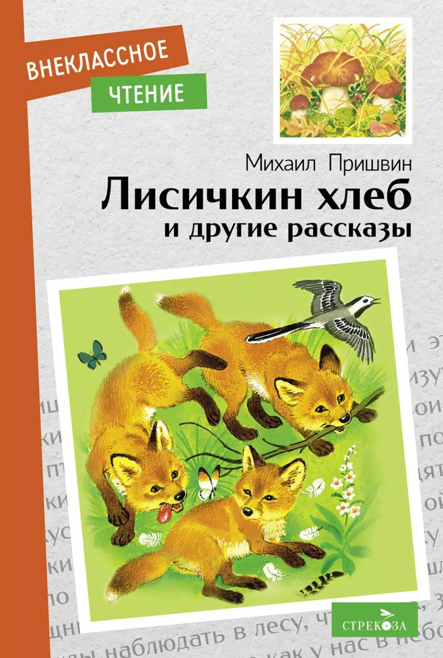 Книга Лисичкин хлеб и другие рассказы. Пришвин Михаил. Внеклассное чтение. изд. Стрекоза