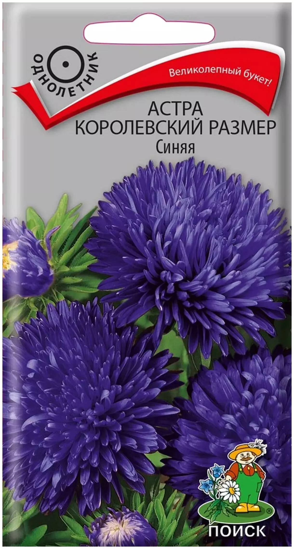 Семена цветов Астра Королевский размер Синяя 0,1г (Поиск) цв