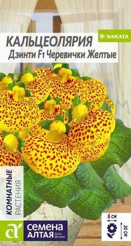 Семена цветов Кальцеолярия Дэинти F1 Черевички желтые. Семена Алтая Ц/П 5 шт