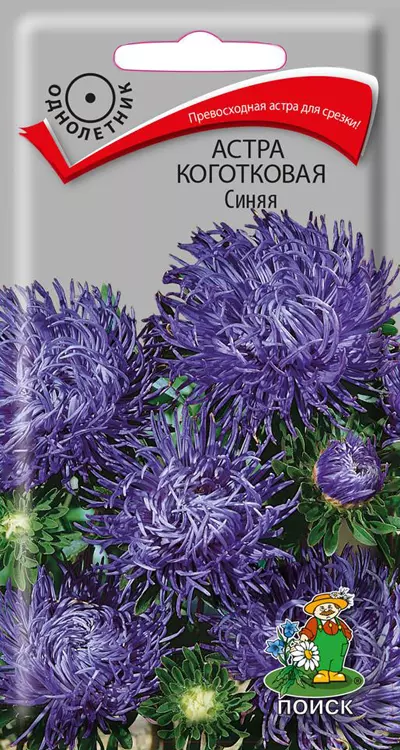 Семена цветов Астра Коготковая, синяя. ПОИСК Ц/П 0.3 г