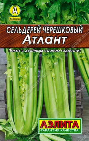 Семена Сельдерей черешковый и листовой Атлант. АЭЛИТА Лидер 0,5 г