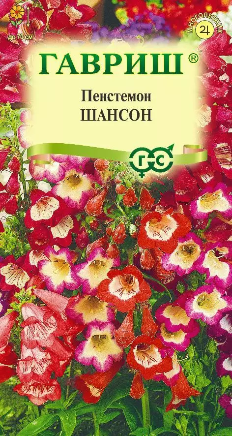Семена цветов Пенстемон Хартвига Шансон наперстянковый ГАВРИШ 0,1 г ц/п