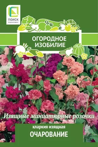 Семена цветов Кларкия Очарование, смесь 0.2г (Поиск) серия ОИ