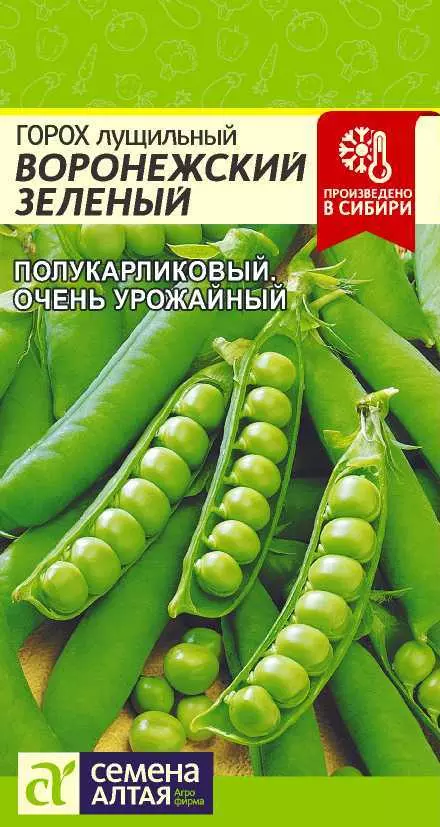 Семена Горох лущильный Воронежский зеленый. Семена Алтая Ц/П 10 г