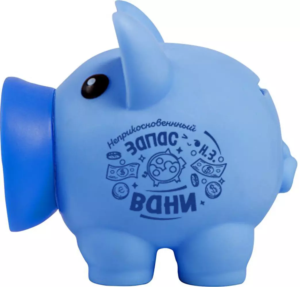 Копилка Хрюля ВАНЯ