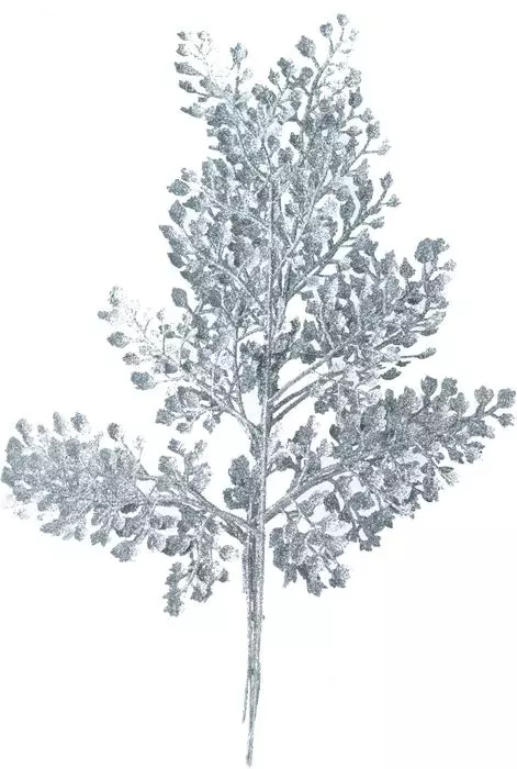 Интерьерное украшение Ветка Серебристая в наборе 3 шт / 36x18x0,2см 87124