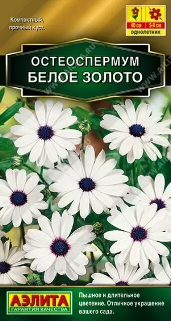 Семена цветов Остеоспермум Белое золото 10шт (Аэлита)