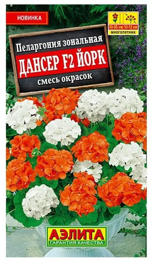 Семена цветов Пеларгония Дансер F2 Йорк 5шт, смесь окрасок АЭЛИТА