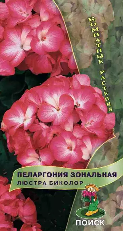Семена цветов Пеларгония Люстра Биколор 5шт (Поиск) цв