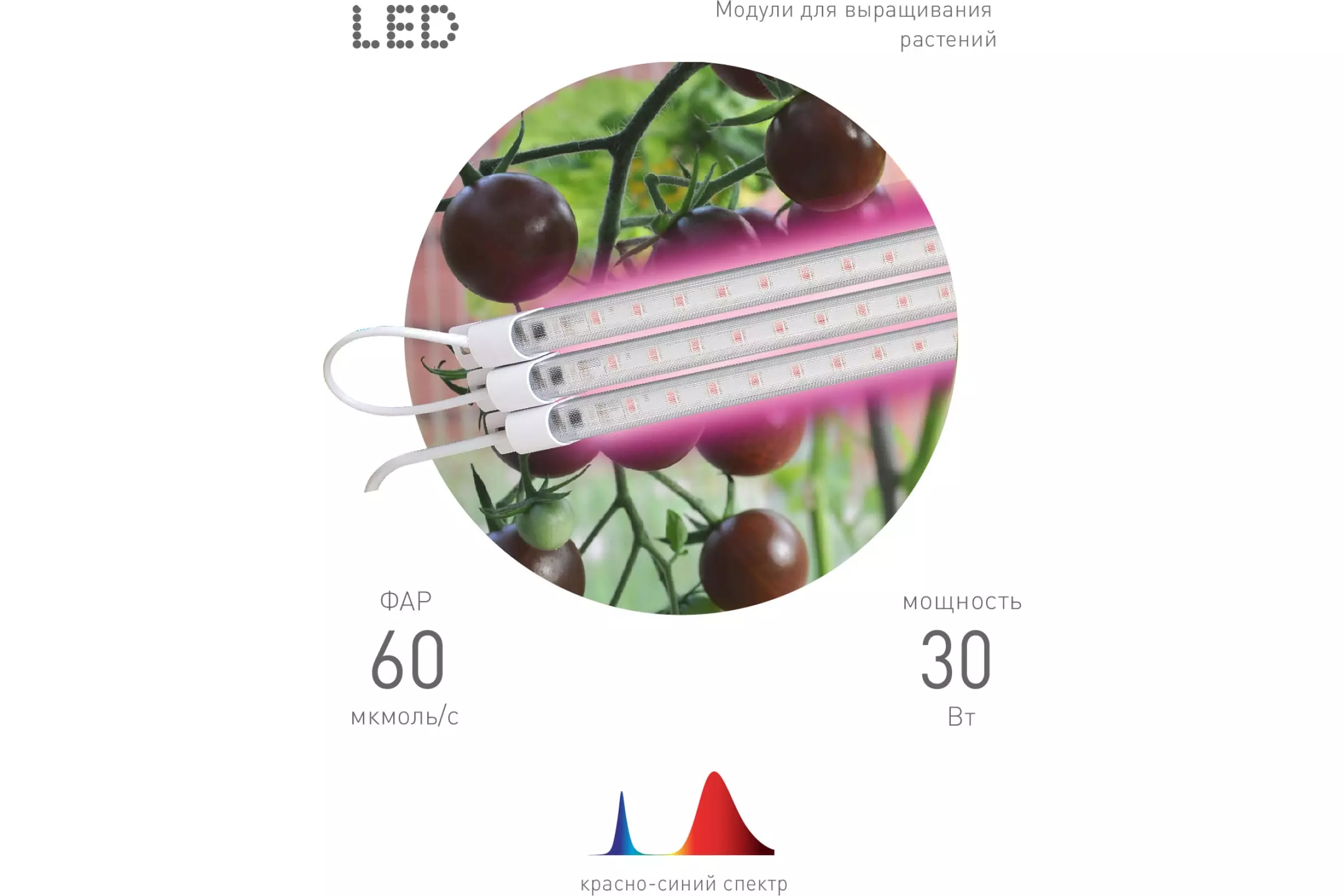Светильник для растений ЭРА FITO-3х10W-LINE-RB90 красно-синего спектра 30 Вт Б0050924