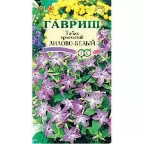 Семена Табак душистый Лилово-белый крупноцветов 0.1 гр (Гавриш) цв