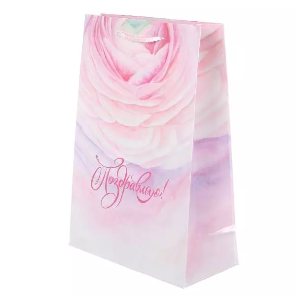 Подарочный пакет 22x31*10 Поздравляю PML-124683-GR