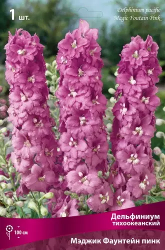 Корневище цветов Дельфиниум тихоокеанский Мэджик Фаунтейн пинк (I; 1шт)