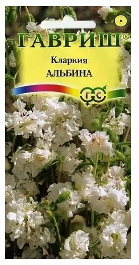 Кларкия Изящная Альбина 0. 1гр (Гавриш) цв