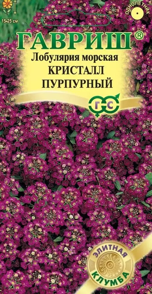 Семена цветов Алиссум Лобулярия Кристалл Пурпурный 15шт (Гавриш)