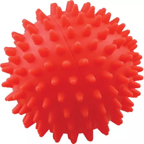 Игрушка для собак Мяч для массажа № 3 (8 см) Зооник