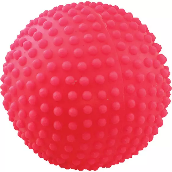 Игрушка для собак Мяч игольчатый №4 (103мм) Зооник
