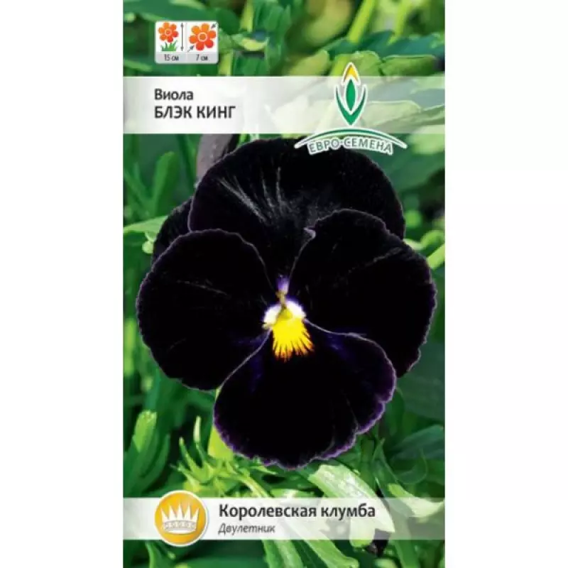Семена цветов Виола Блэк кинг. ЕВРО-СЕМЕНА Ц/П 0.1 г