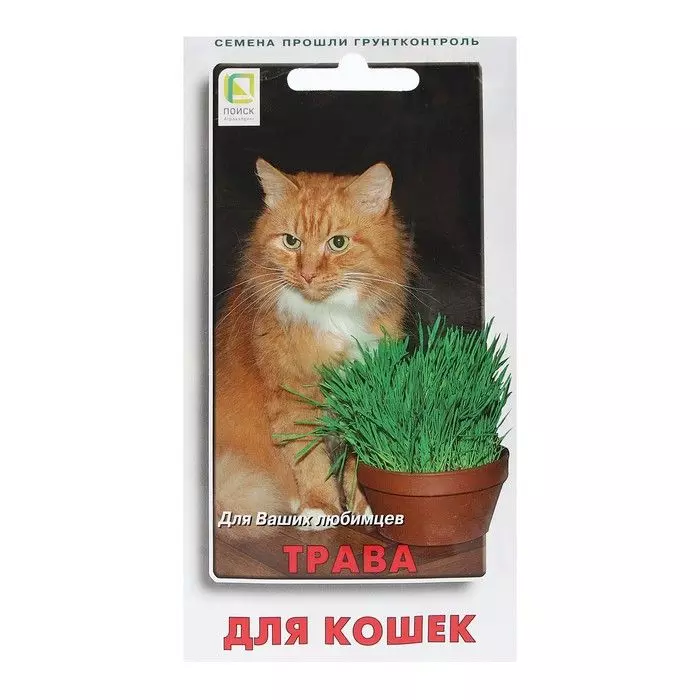 Семена Трава для кошек ПОИСК 5 г б/п