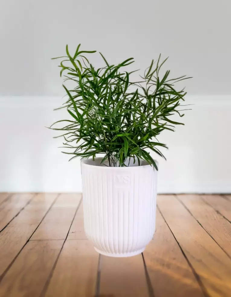 Горшок для цветов 2,4 л с фитильным поливом, D150 мм, дренаж, Эйва VipSet АМО-2,4-01 белый