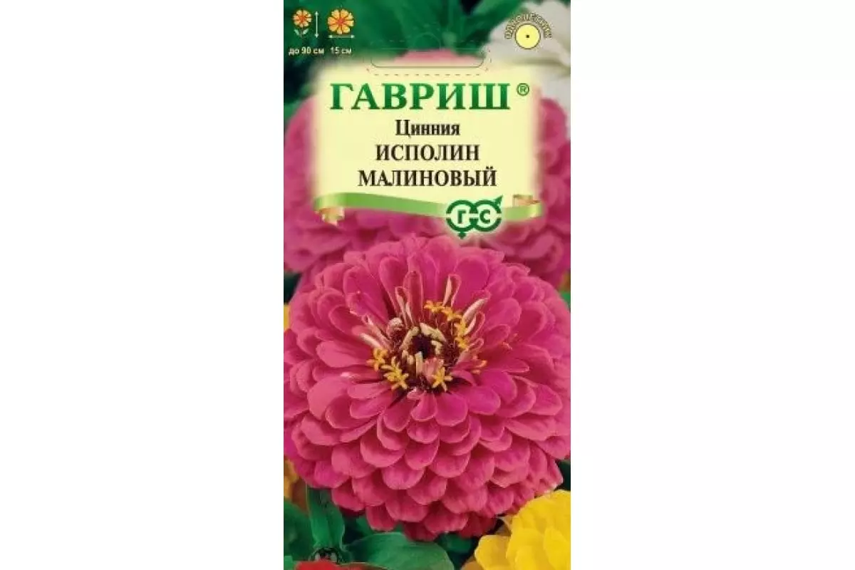 Семена цветов Цинния георгиновидная Исполин малиновый, ГАВРИШ 0,3 г ц/п